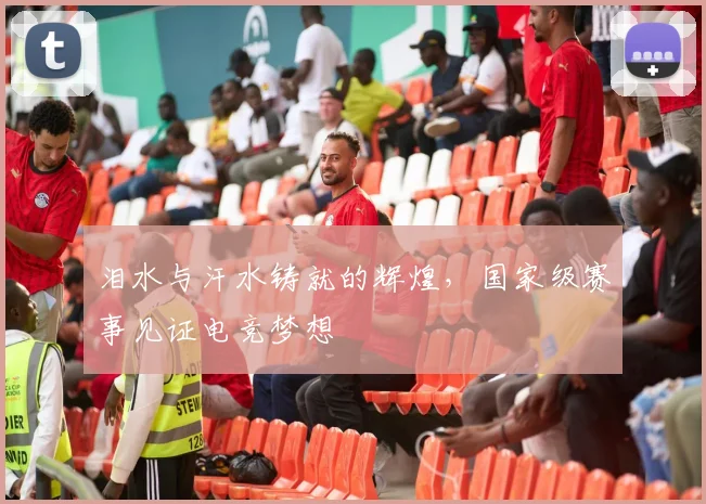 泪水与汗水铸就的辉煌，国家级赛事见证电竞梦想