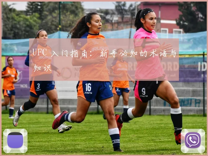 UFC 入门指南：新手必知的术语与知识