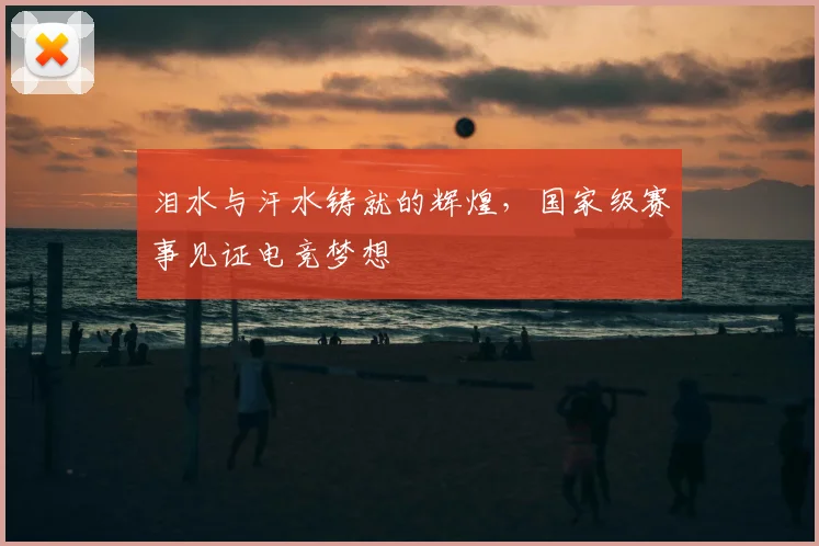 泪水与汗水铸就的辉煌，国家级赛事见证电竞梦想