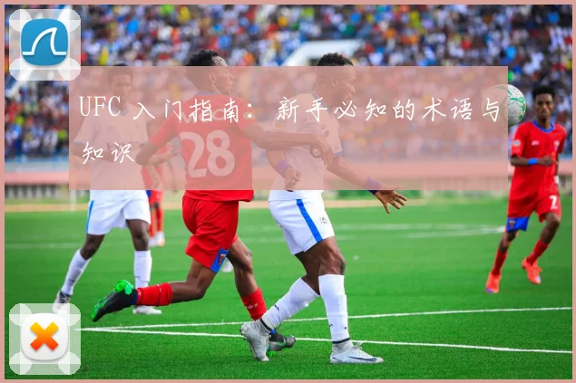 UFC 入门指南：新手必知的术语与知识